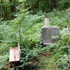 Dwyer family cemetery.
