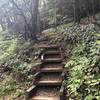 Unicoi Gap to Tray Mt. Rd. and back 14.07M trail run