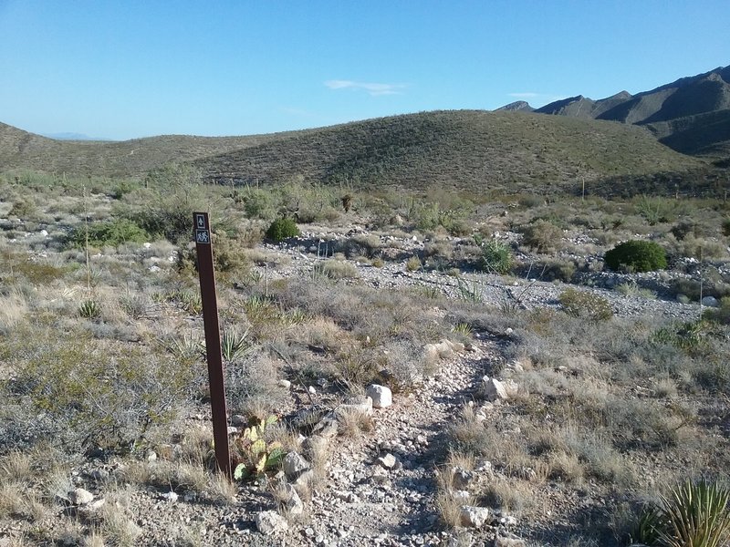 Looking NE on the trail.