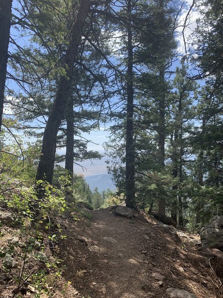 Dixon trail at about 8,480 ft