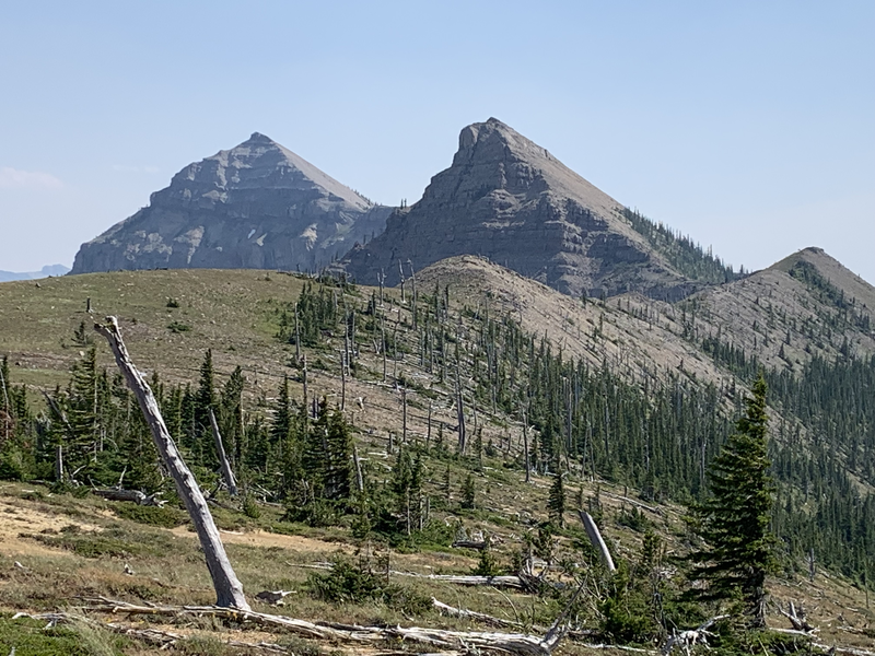 Trail 241 Trilobite Peak