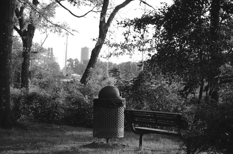 View from John A. Roebling Memorial Park