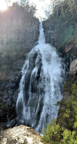 Wellington Falls