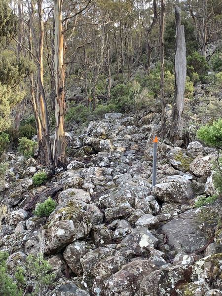 Trailmarkers leading across lichen-covered rocks.