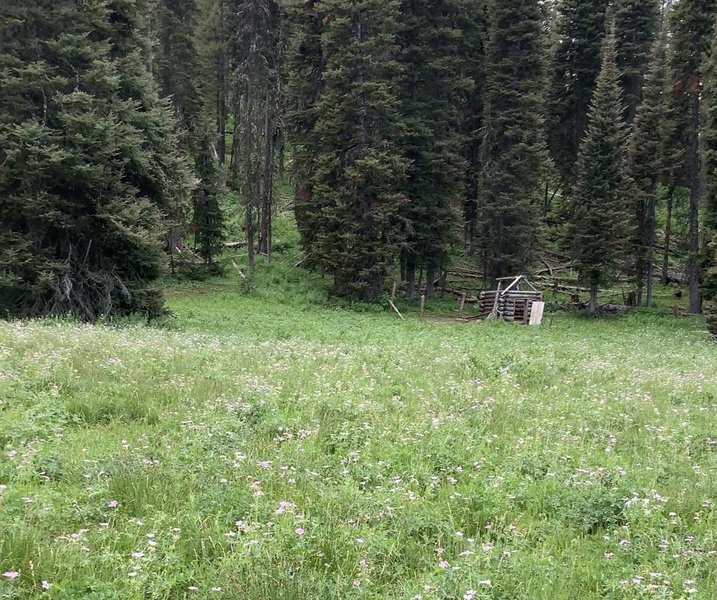 The "cabin" at Spaulding Basin, the high point for the Blowout Canyon trail.