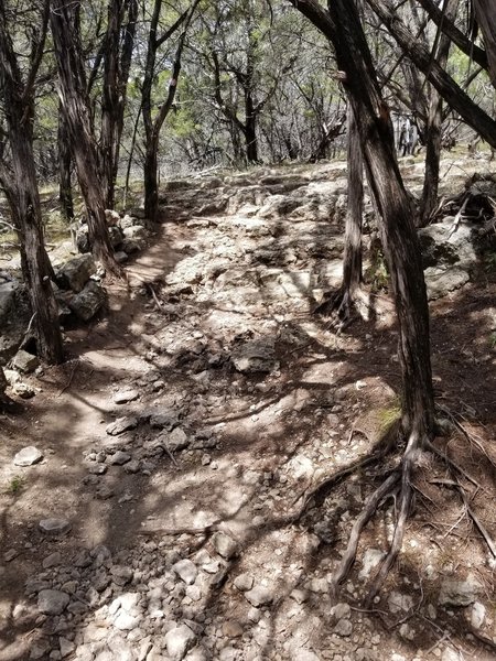 One of the rock sections on this trail