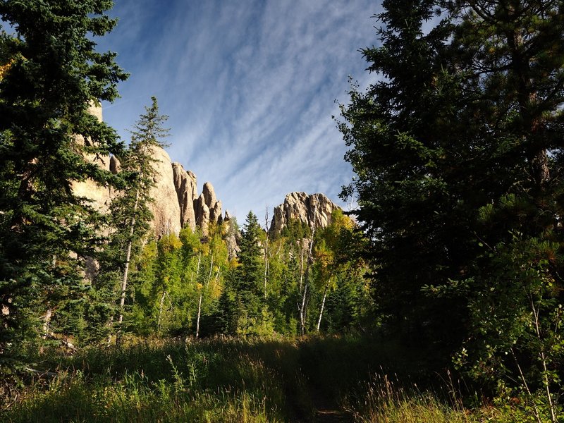 Along the Little Devils Tower Trail #4.