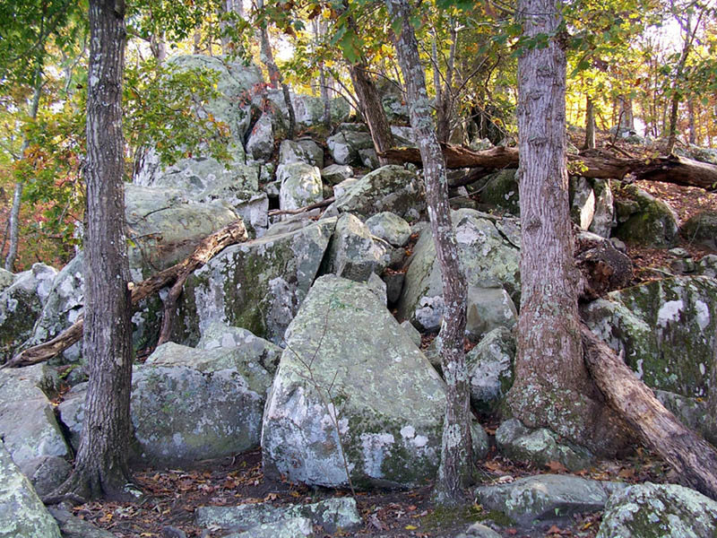 Morrow Mountain Hiking Trails Fall Mountain Trail, Morrow Mountain State Park.