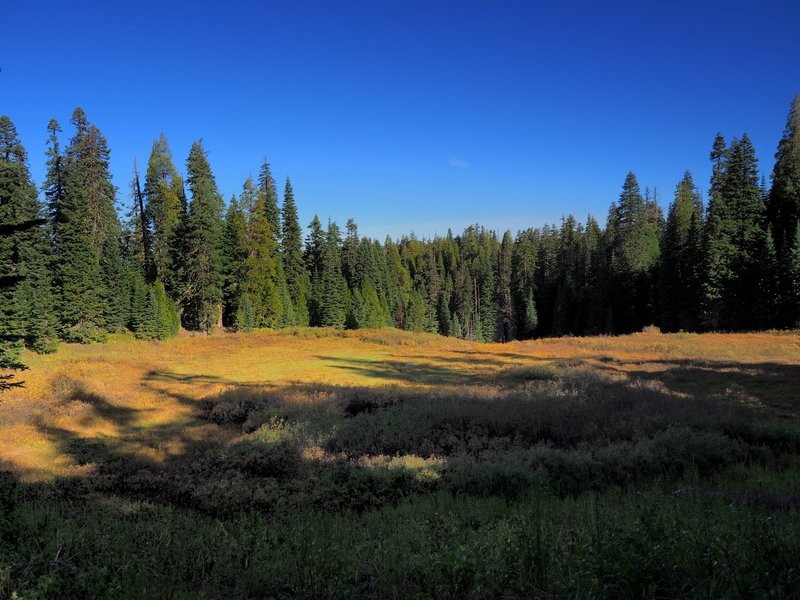 Another large meadow along the trail