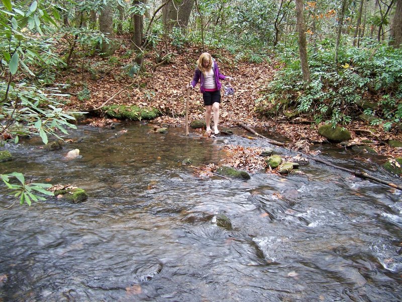 Gwendolyn crossing Armstrong Creek from Armstrong Creek Road to lower end of Bad Fork Trail. Bad Fork Trail will go up to Woods Mountain Trail, which is part of the Mountains-to-Sea Trail. It loops back to our car, which was parked at the NC-80/Blue Ridge