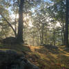Morning mist