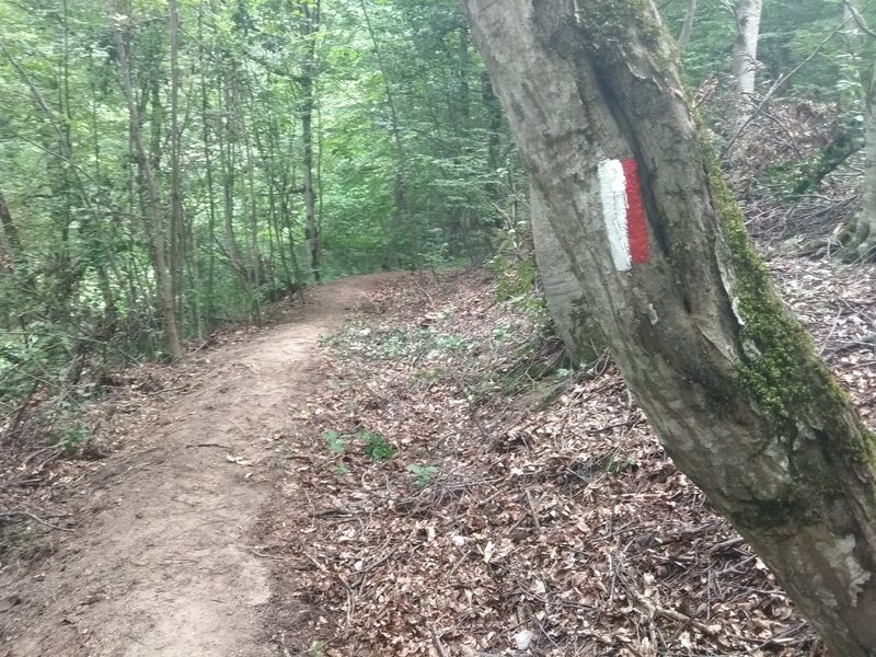 Restored Ancient Section of the Trail