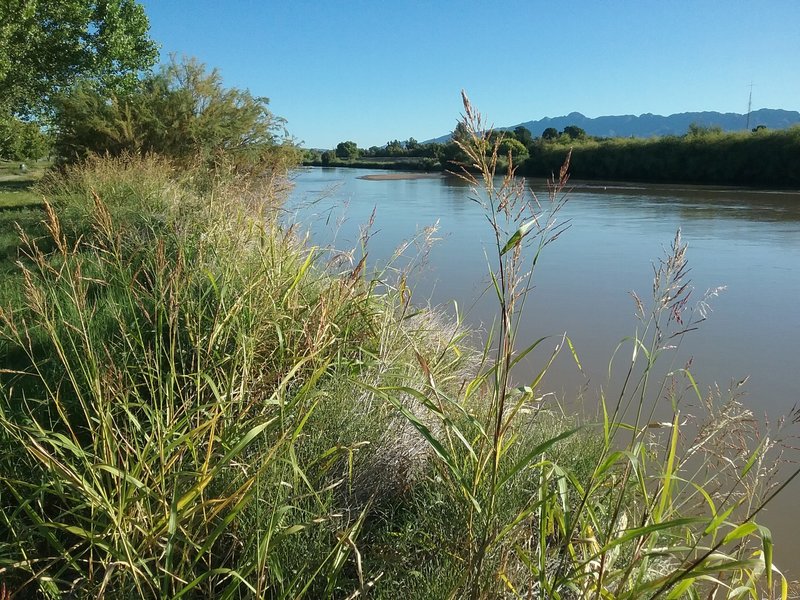 View of the Rio Grande in the summer