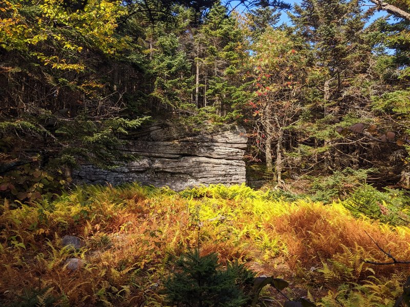 just a little clearing with a gorgeous rock formation and beautiful fall colors