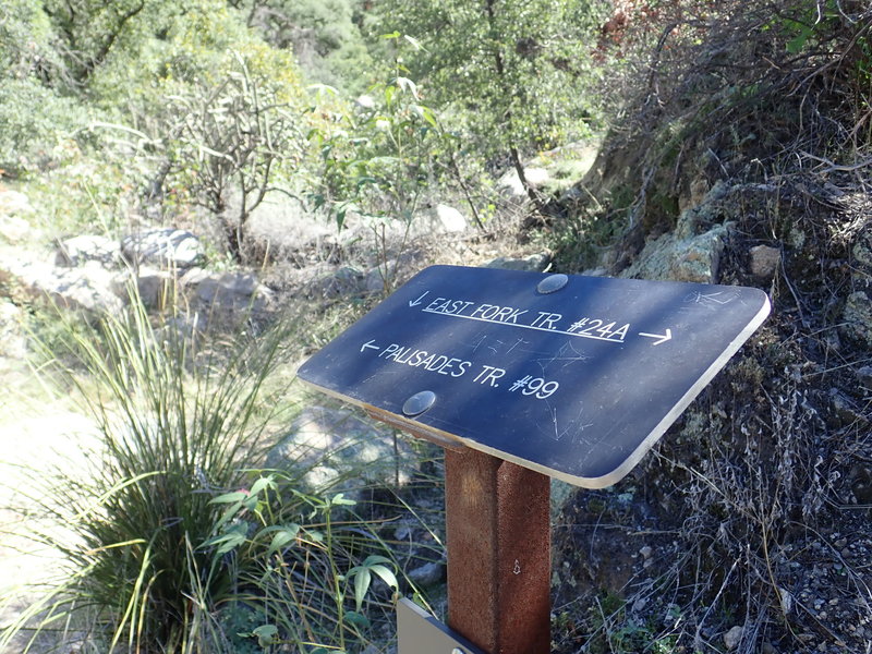 The East Fork trail junction at the terminus of Palisades #99 trail.