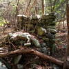 Remains of an old chimney about .2 miles inside park boundary on south side of Heiskell Hollow trail