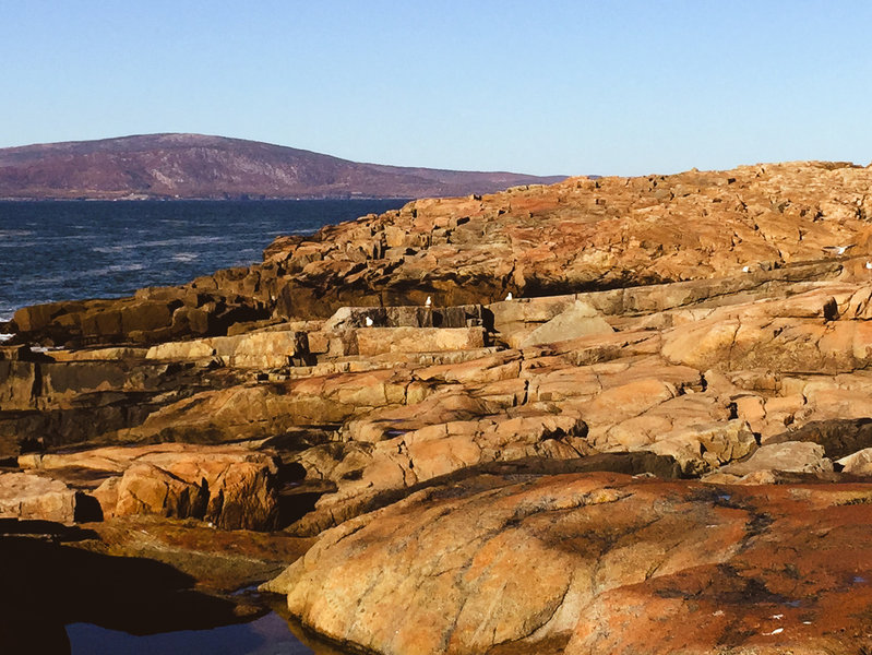 View of Cadillac Mountain from Schoodic Point.