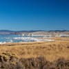 The white salt shore of Mono Lake.