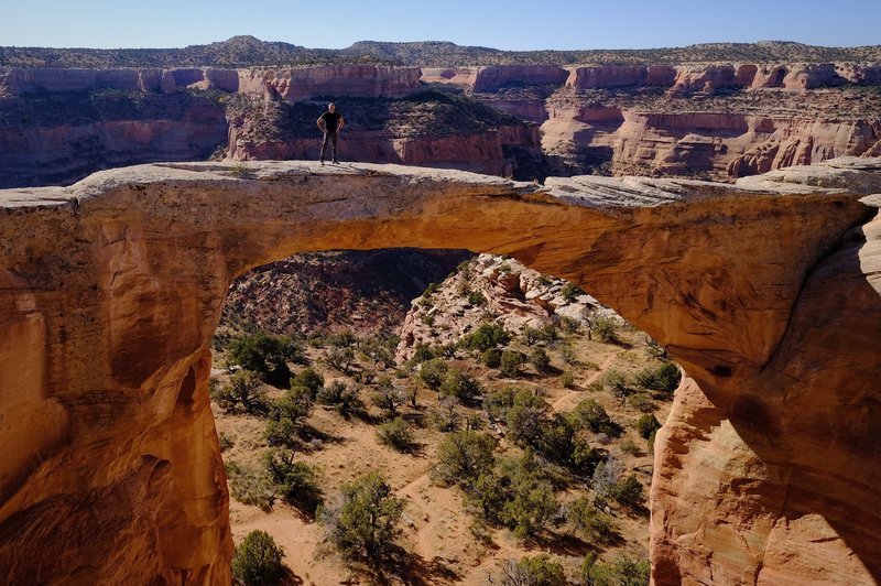 Rattlesnake Arch #Nomad_Dave for size reference. Nature is beautiful and part of who we are but also unforgiving and deadly, so take care of yourself out there.