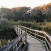 The nature boardwalks are well kept and fun to walk on