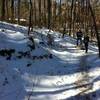 Snowy trail.