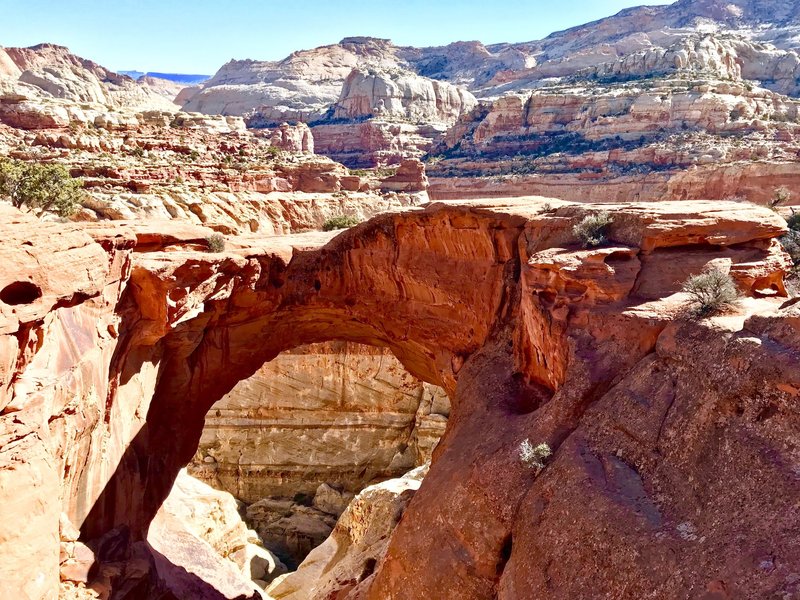 Cassidy Arch in front of the beautiful Grand Wash