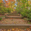 Autumn Arboretum Stairway