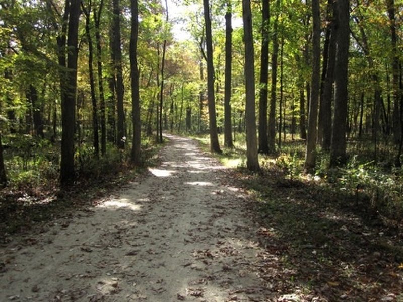 Scene from the trail