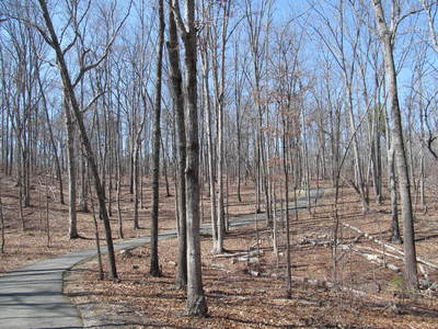 Kings Mountain Battlefield Loop Hiking Trail Blacksburg South Carolina
