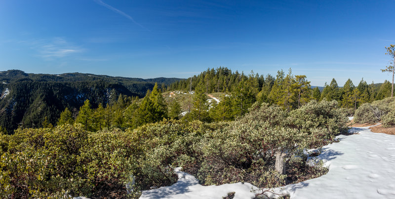 The top of the Fiddle Creek Ridge