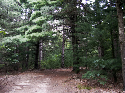 Running Trails Near Yankee Springs Recreation Area