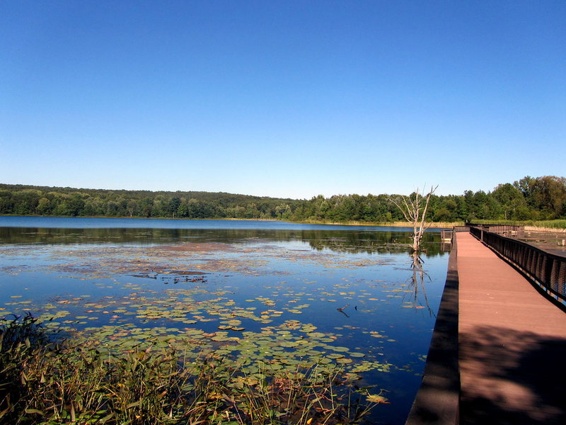 Pickerel Lake Park - Fred Meijer Nature Preserve" by Rachel Kramer (https://tinyurl.com/tgvrh5p), Flickr licensed under CC BY 2.0 (https://creativecommons.org/licenses/by/2.0/)