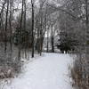 Path at Pickerel Lake" by John Winkelman (https://tinyurl.com/tqe8en4), Flickr licensed under CC BY 2.0 (https://creativecommons.org/licenses/by/2.0/)