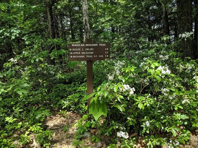 Mohawk State Forest Trail Map Hiking Trails Near Mohawk Trail State Forest