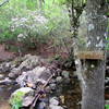 Wood Run Uwaharrie Trail Uwahrrie Nat Forest NC Uwaharrie Trail Uwahrrie Nat Forest NC