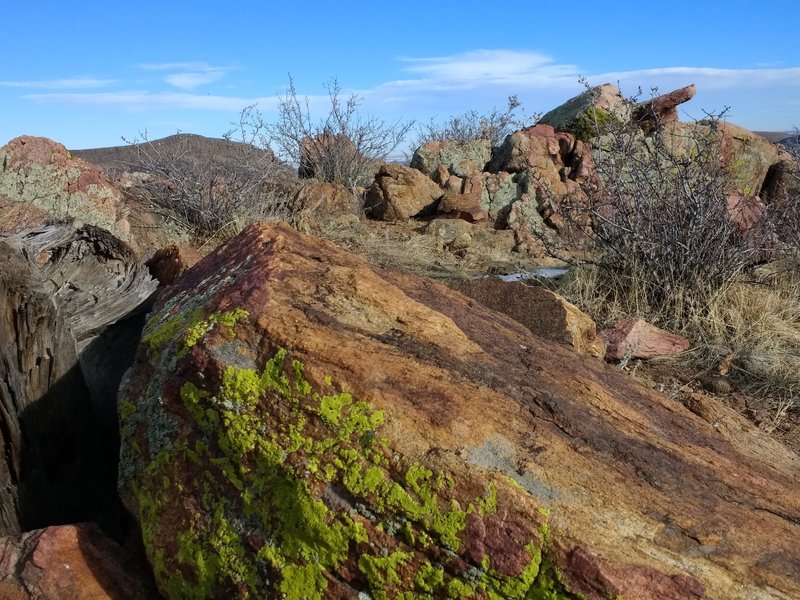 Rocks and bright green lichen along the trail.