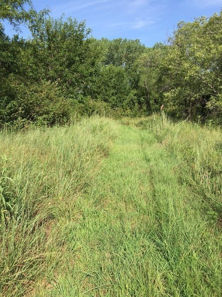 The trail is a mowed path, no tread.  A heck of a workout, I promise!