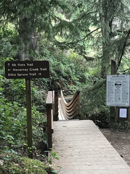 Nice bridge on the Sitka spruce trail