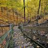 Steep staircase in the fall" by Mike Lozon. Photo courtesy of Ottawa County Parks & Recreation.