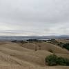About 100 yd from tower looking out at Livermore Valley