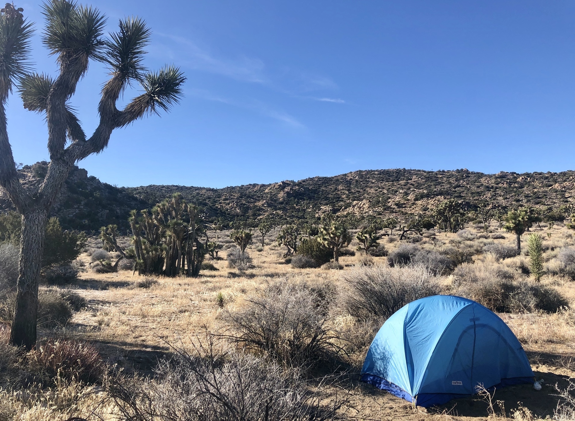 Camping on Stubbe Springs