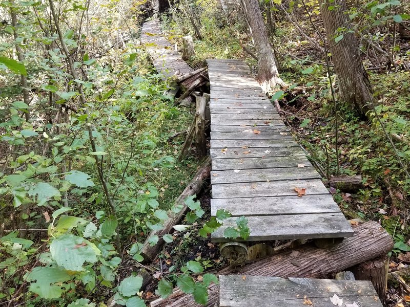 Some of the boardwalk is in need of repair.