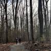 Easy walk for all ages