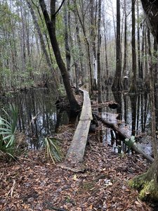 wambaw cycle trail