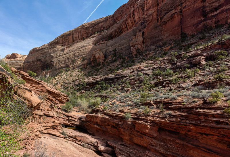 syncline loop trail