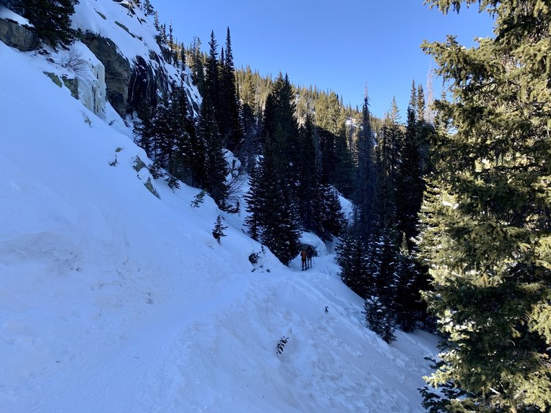Along the Emerald Lake Trail, December 30, 2019.