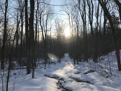 Running Trails Near Windsor State Forest