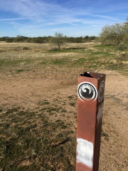 Trail marker