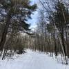 Cabin Trail follows a snowmobile trail for a short period