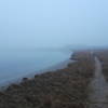 On the bay side of the point in heavy fog
